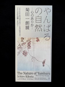 やんばるの自然フライヤー