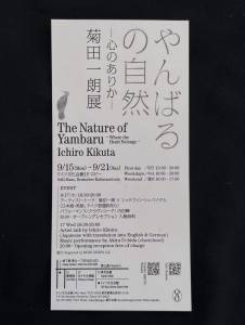 やんばるの自然フライヤー裏